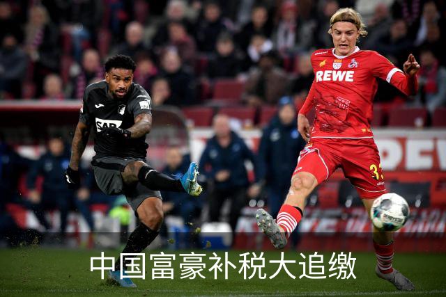 中国富豪补税大追缴