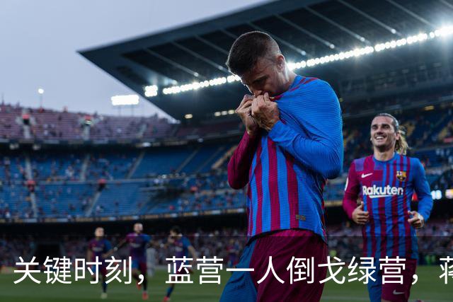 关键时刻，蓝营一人倒戈绿营，蒋万安没说“我是中国人”遭反噬？