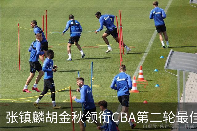 张镇麟胡金秋领衔CBA第二轮最佳阵容 付豪篮板称王