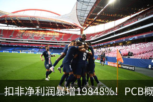 扣非净利润暴增19848%！PCB概念股，前十大股东新增神秘自然人