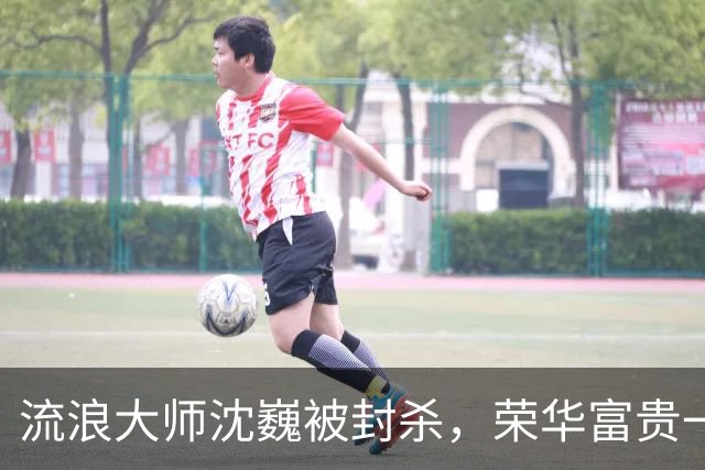 流浪大师沈巍被封杀，荣华富贵一场空
