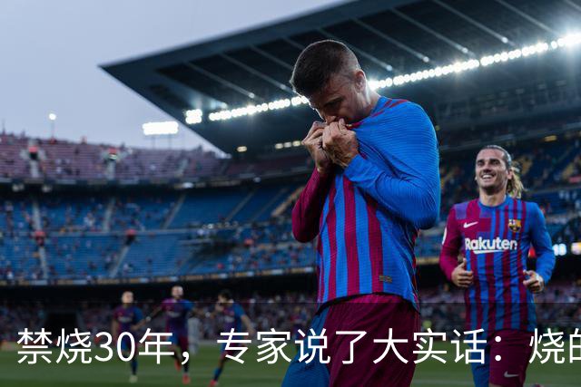 禁烧30年，专家说了大实话：烧的不是秸秆，是农村没啥人了！