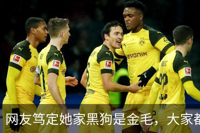 网友笃定她家黑狗是金毛，大家都不信，直到她晒出这张照片……没毛病，是金毛！