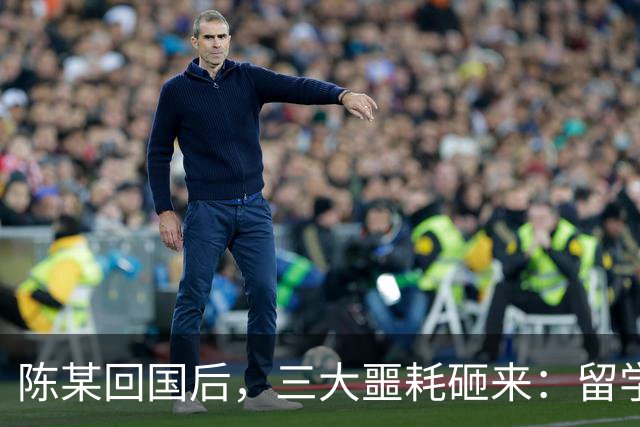 陈某回国后，三大噩耗砸来：留学梦碎、政审无门、还得过法律核查