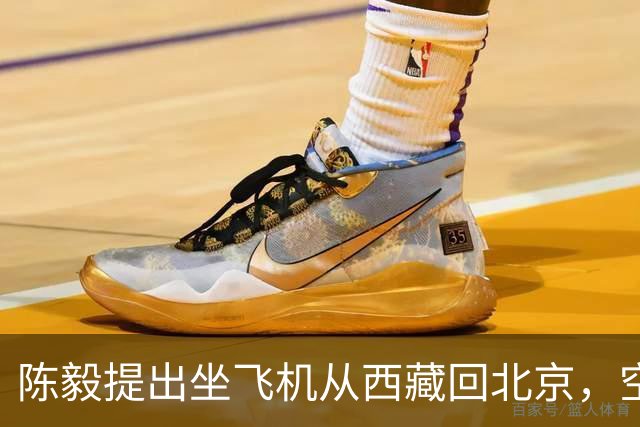 陈毅提出坐飞机从西藏回北京，空军少将张廷发劝：先别急，等一等！