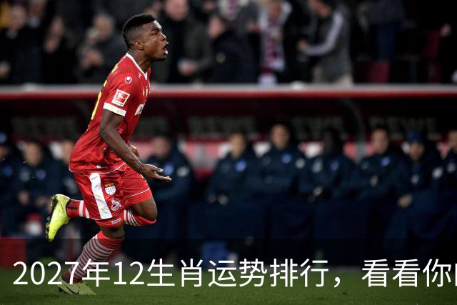 2027年12生肖运势排行，看看你的排名第几，前三个将彻底翻身