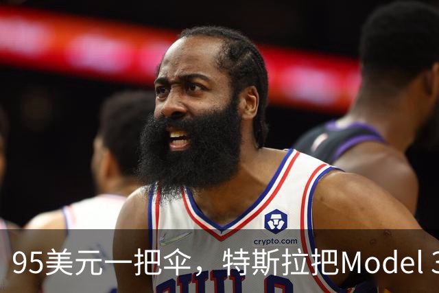 95美元一把伞，特斯拉把Model 3徽标印进了内衬