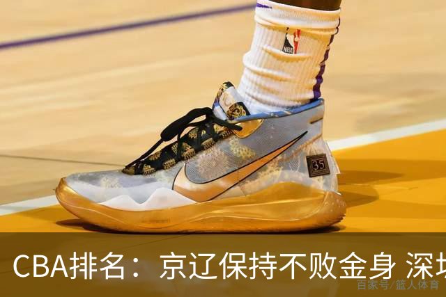 CBA排名：京辽保持不败金身 深圳连续惨负 江苏宁波暂居升降级区域