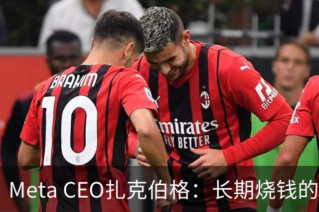 Meta CEO扎克伯格：长期烧钱的Muse和Reality Labs终于盈利在望